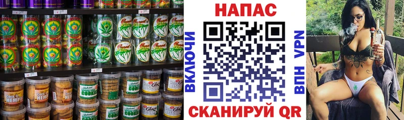 где продают   Камышлов  гидра   Canna-Cookies марихуана 