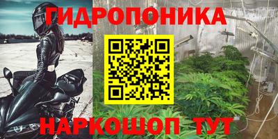 MDMA Premium VHQ Кингисепп