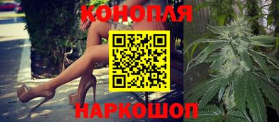 крисы Кинель