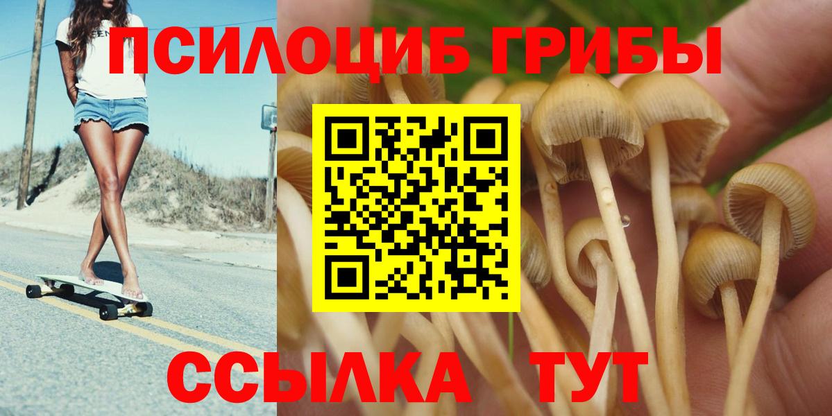 Псилоцибиновые грибы Magic Shrooms  Псилоцибиновые грибы MAGIC MUSHROOMS  Вход с VPN  Камышлов 