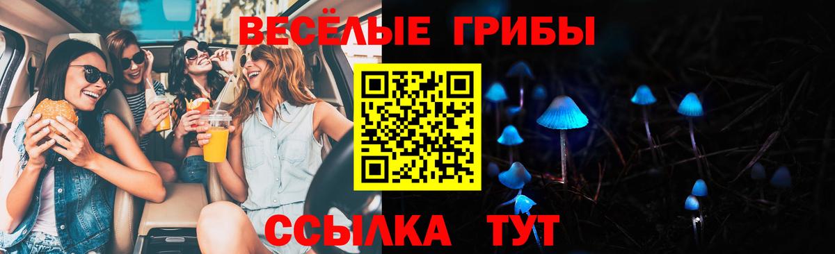 Галлюциногенные грибы ЛСД Камышлов