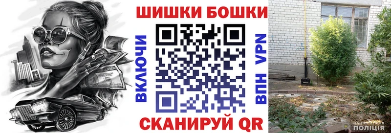 Бошки марихуана SATIVA & INDICA  закладка  Камышлов 