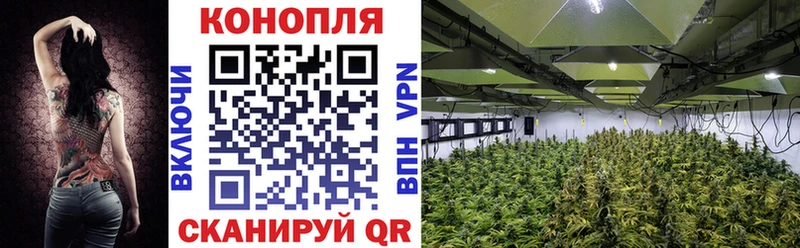 Каннабис Ganja Камышлов